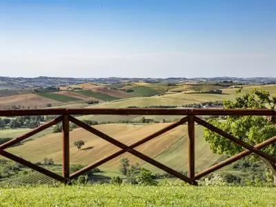 ViewSummer
