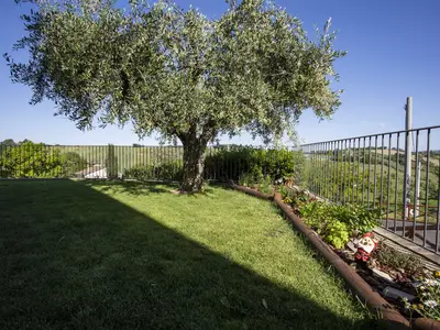 GardenSummer