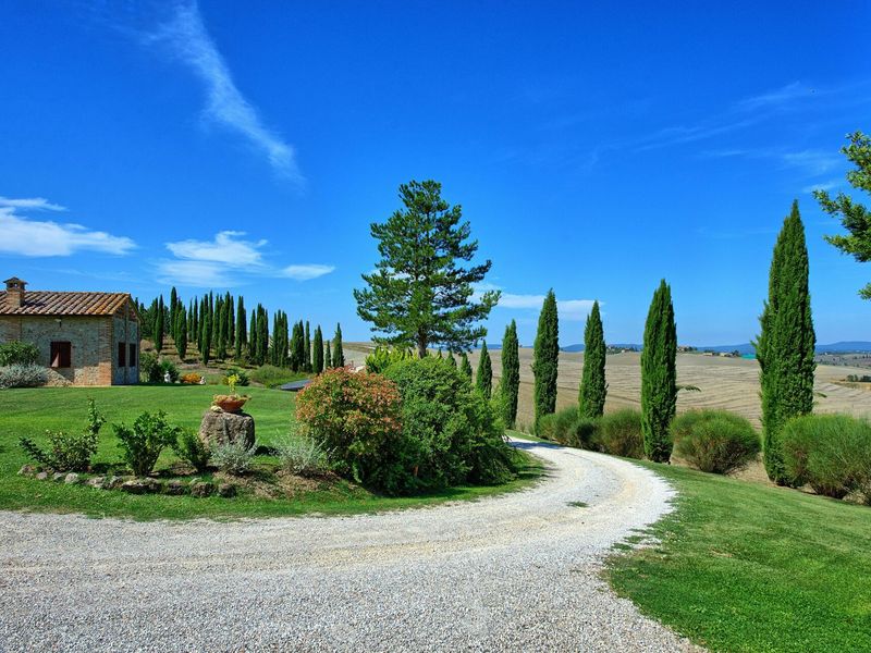 24029393-Ferienwohnung-7-Monteroni D'Arbia-800x600-0