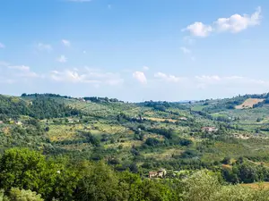 Ferienwohnung für 4 Personen (55 m²) in Montespertoli