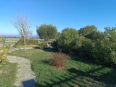 Garten [Sommer]