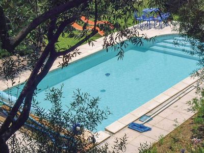 Piscine à travers les oliviers