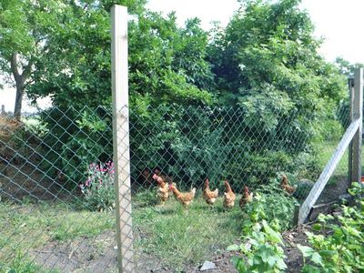 Ferienwohnung für 4 Personen (100 m²) in Moormerland 8/10