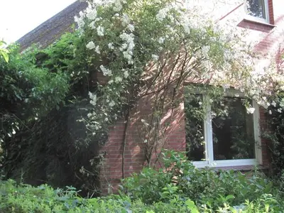 Ferienwohnung für 2 Personen (28 m²) in Moormerland 3/10