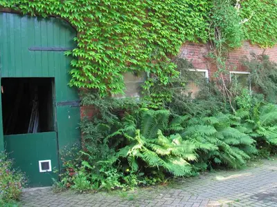 Ferienwohnung für 2 Personen (28 m²) in Moormerland 5/10