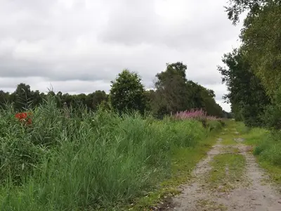 Ferienwohnung für 2 Personen (65 m²) in Moormerland 7/10