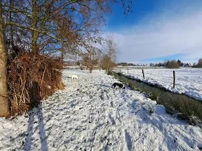 Ferienwohnung für 4 Personen (99 m²) in Moormerland 2/10