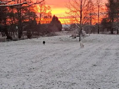 Ferienwohnung für 4 Personen (99 m²) in Moormerland 3/10