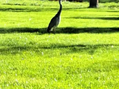 Ferienwohnung für 4 Personen (99 m²) in Moormerland 5/10