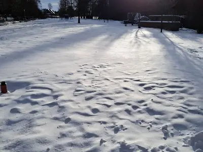 Ferienwohnung für 4 Personen (99 m²) in Moormerland 8/10