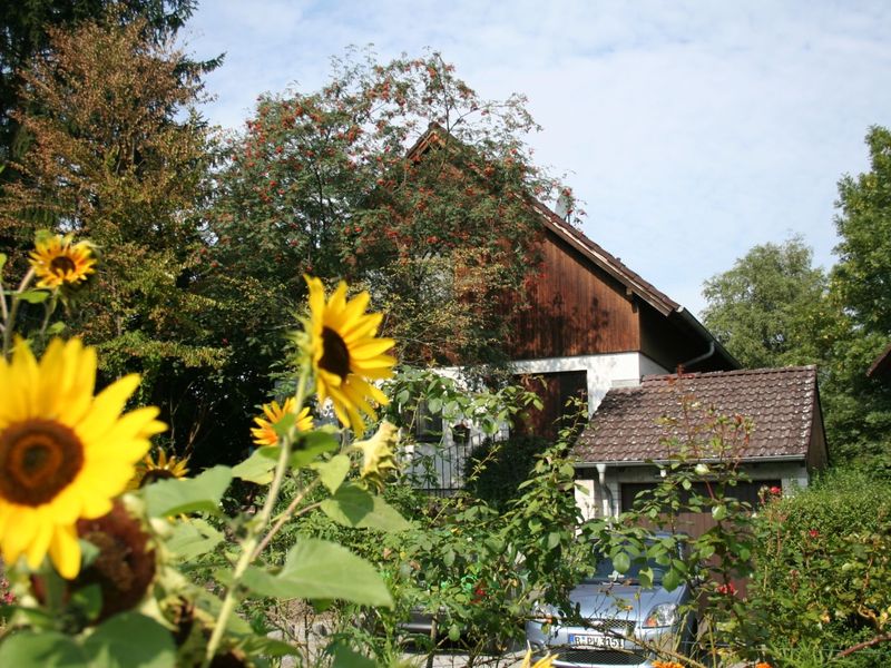 19341625-Ferienwohnung-4-Moos (Konstanz)-800x600-1