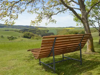 Garten (2)
