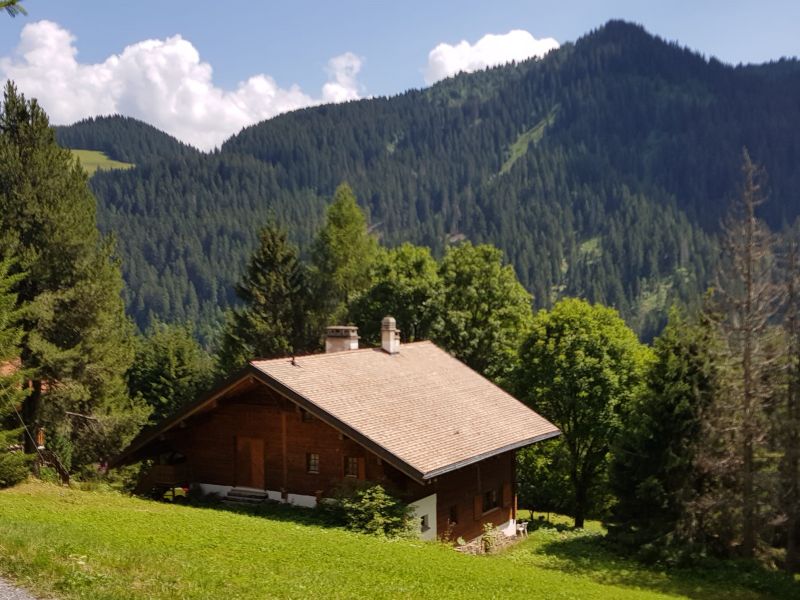 23145371-Ferienwohnung-7-Morgins-800x600-1