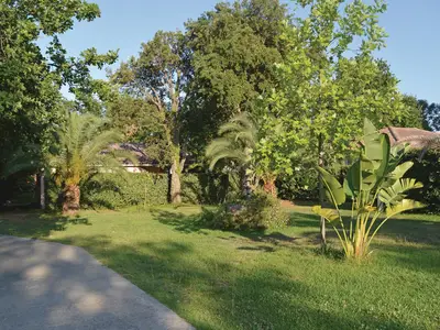 outside