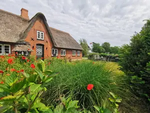 Ferienwohnung für 3 Personen (60 m²) in Morsum (Sylt)