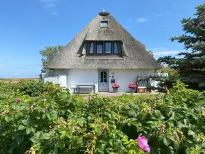 Ferienwohnung für 2 Personen (65 m²) in Morsum (Sylt)