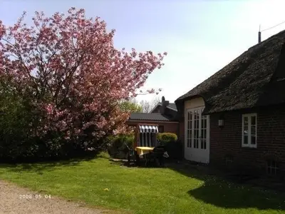 Ferienwohnung für 2 Personen (50 m²) in Morsum (Sylt) 1/9