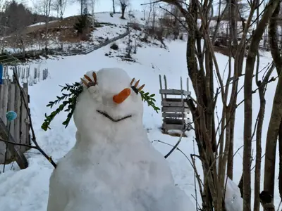 ECEB5879-9375-4515-A271-B6D93DC21D62