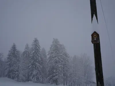 62CB68DD-BE4E-4260-83A5-A00DFAF41C94