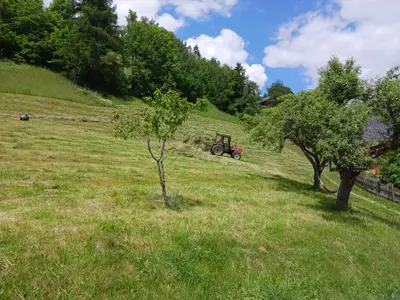 Feldarbeit im Sommer