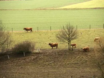 Aussicht 1