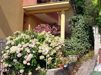 Ferienwohnung für 4 Personen (32 m²) in Moscenicka Draga 3/10