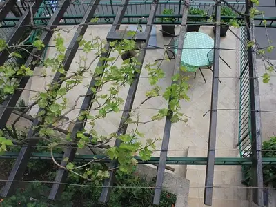 Ferienwohnung für 3 Personen in Moscenicka Draga 2/10