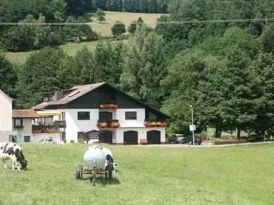 Ferienwohnung für 3 Personen (42 m²) in Mossautal 3/10