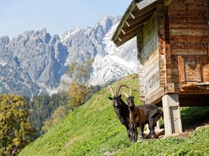 22770349-Ferienwohnung-10-Mühlbach am Hochkönig-300x225-5