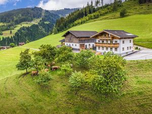 Ferienwohnung für 4 Personen (35 m²) in Mühlbach am Hochkönig