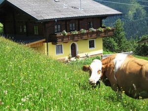 Ferienwohnung für 4 Personen (45 m&sup2;) in Mühlbach am Hochkönig