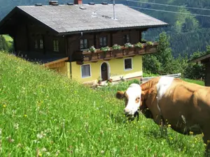 Ferienwohnung für 4 Personen (45 m²) in Mühlbach am Hochkönig