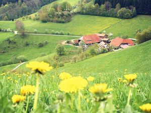 Ferienwohnung für 9 Personen in Mühlenbach