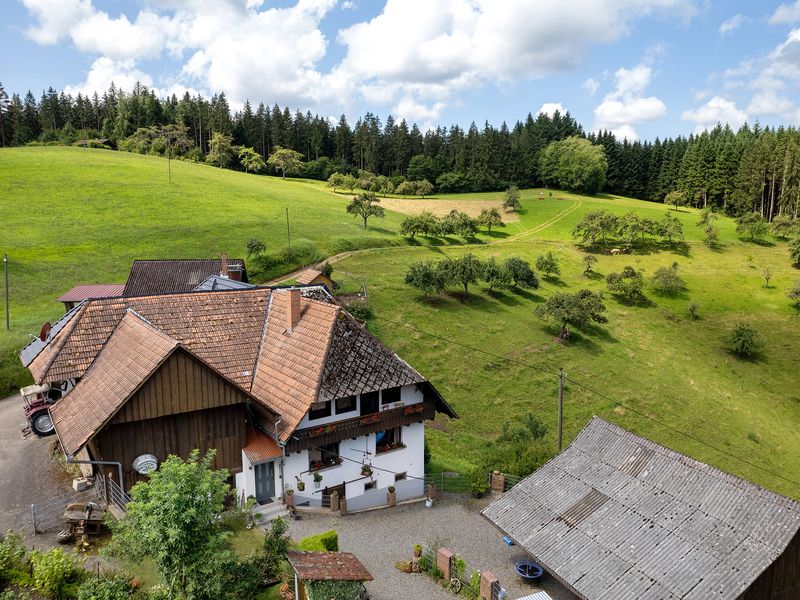 19362167-Ferienwohnung-7-Mühlenbach-800x600-1