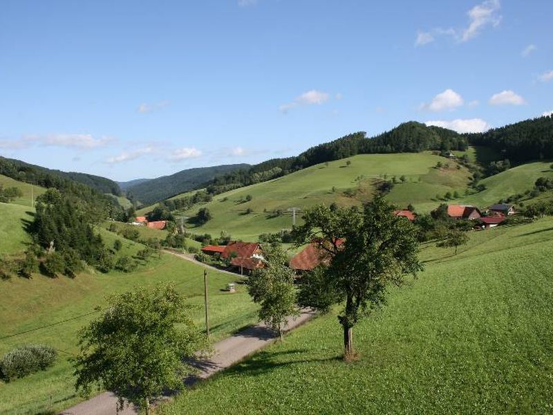 19362172-Ferienwohnung-4-Mühlenbach-800x600-1