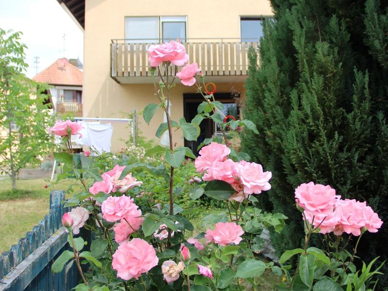 19263584-Ferienwohnung-4-Mühlingen-800x600-1