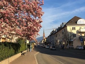 22615689-Ferienwohnung-4-Müllheim-300x225-4