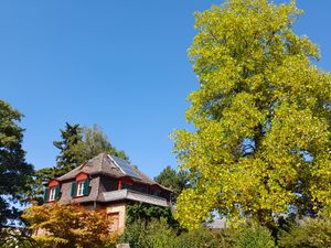 23495267-Ferienwohnung-2-Müllheim-300x225-1