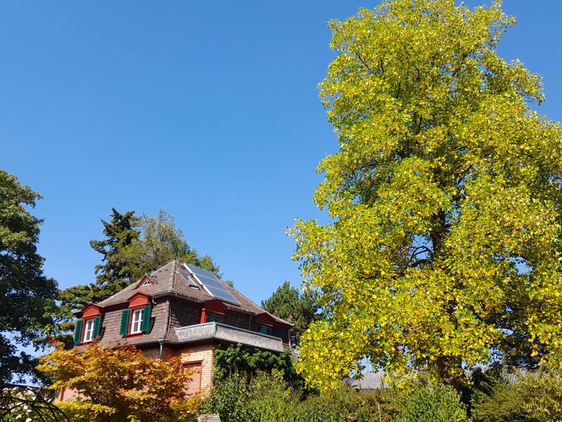 23495267-Ferienwohnung-2-Müllheim-800x600-1