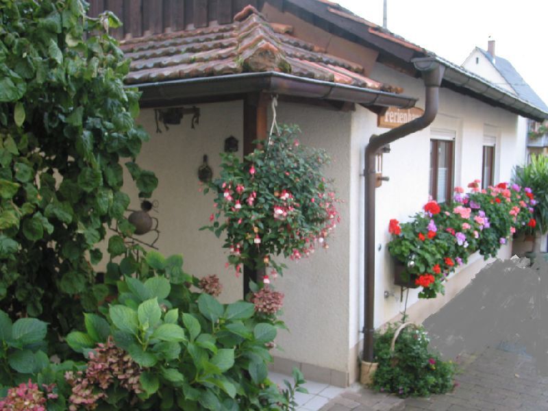 19362054-Ferienwohnung-4-Müllheim-800x600-0