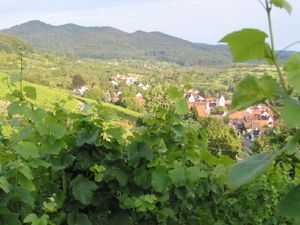 19362054-Ferienwohnung-4-Müllheim-300x225-4