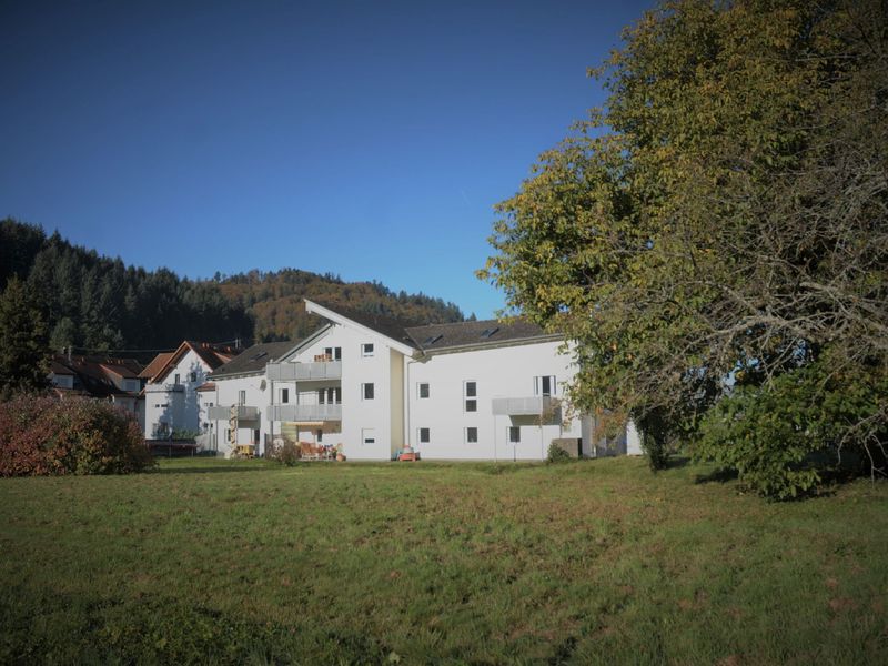 23294842-Ferienwohnung-4-Münstertal-800x600-2