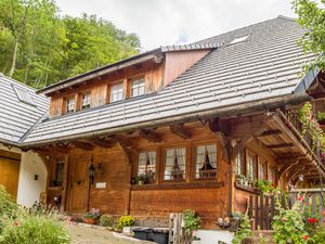 21933183-Ferienwohnung-2-Münstertal-300x225-2