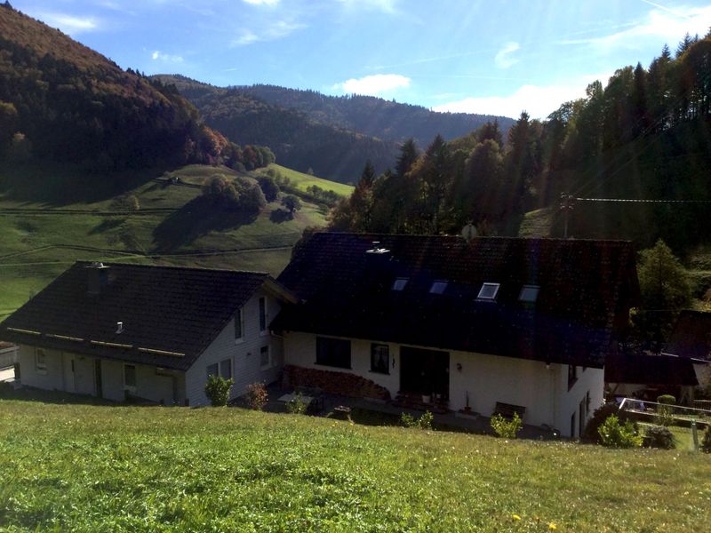 21633717-Ferienwohnung-3-Münstertal-800x600-1