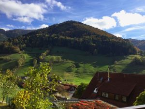 21633713-Ferienwohnung-4-Münstertal-300x225-3