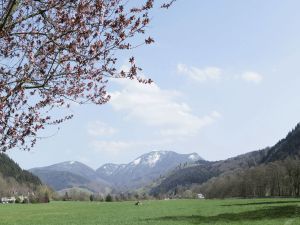 18710321-Ferienwohnung-2-Münstertal-300x225-2