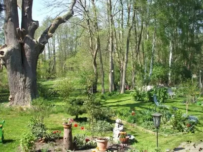 Ferienwohnung für 4 Personen (45 m²) in Mühl Rosin 3/6