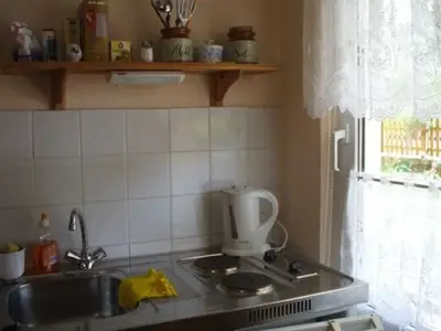 Ferienwohnung für 4 Personen (45 m²) in Mühl Rosin 6/6
