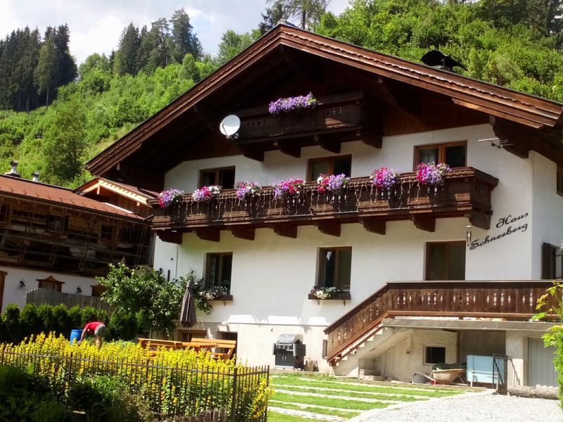 Außenansicht des Gebäudes. Haus im Sommer