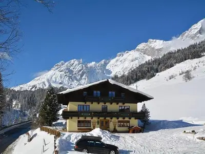 Ferienwohnung für 4 Personen (45 m²) in Mühlbach am Hochkönig 5/10